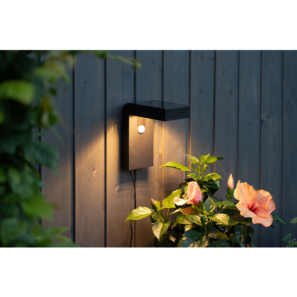 Solar Wandlamp -Zwart -Warm Wit -20CM -Beweginsmelder