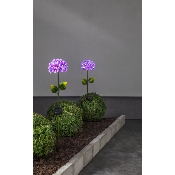 Solar Tuinverlichting decoratie  Hortensia Paars Warm Wit licht -Roze  -40 cm hoog