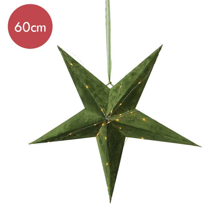 Groene kerstster met 40 micro LED lampjes op batterijen -60cm -lichtkleur: Warm Wit -Werkt op batterijen -Met timer functie -Kerstdecoratie