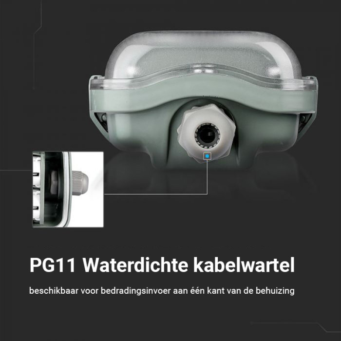  IP65 Enkel LED TL armatuur incl. Led buis | 120cm - 6000K