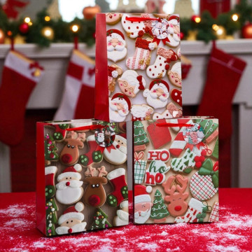 Set van 3 cadeautasjes - 12 x 30 x 42 cm