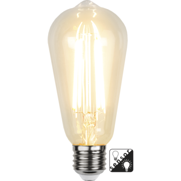 Edison Sensorlamp dag/nacht - Filament 4W 