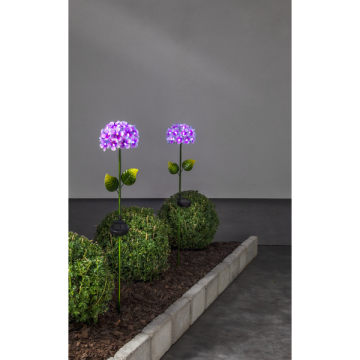 Solar Priklamp ‘’Decoratie Hortensia Paars’’