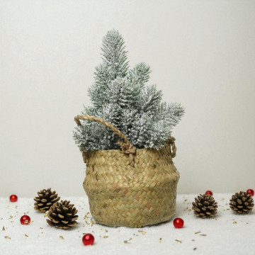 Micro kerstboom Groen met sneeuw ø13x24 cm