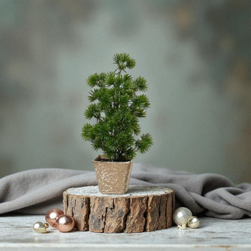 Micro kerstboompje Type B 20 cm