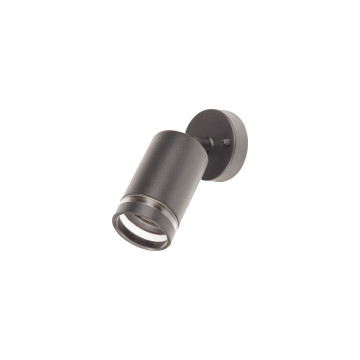 Integral IP65 RVS verstelbare wandlamp Donkergrijs - GU10