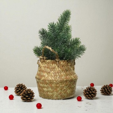Micro kerstboom donker ø13x24 cm