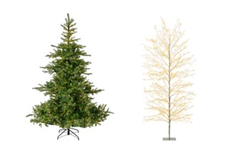 Kerstbomen