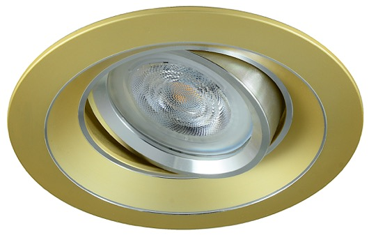 LED inbouwspot Ian -Rond Goud -Warm Wit -Dimbaar -5W -Philips LED