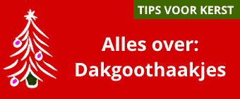 Alles wat je moet weten over dakgoothaakjes